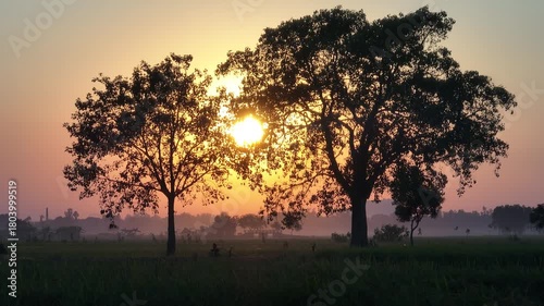 Wallpaper Mural Golden Hour Sun Setting Between Trees Over Rural Farmland - Vibrant Sunset Through Two Trees Over Wide Farm Fields Torontodigital.ca
