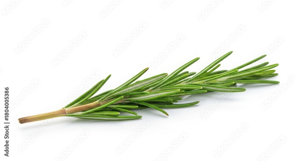Fototapeta premium Fresh rosemary sprig isolated on white background, aromatic herb for cooking
