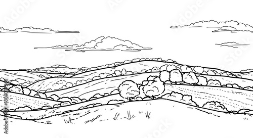 Hills and clearings, black and white sketch. Vector drawing.Trees and bushes on the horizon, a seamless border isolated on a white background. Fluffy clouds in the sky. Hand-drawn rural landscape
