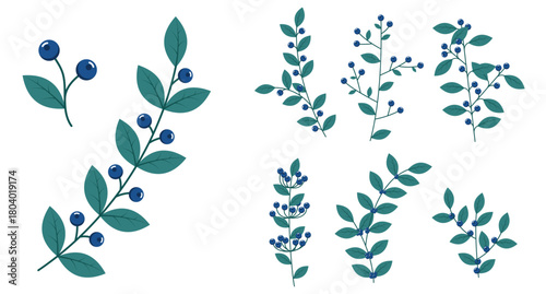 Set of blueberries. Winter plants. Winter branches and leaves. Winter floral elements. Holiday decoration. Vector illustration