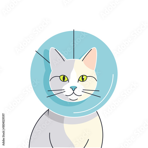 Cat wearing recovery collar with a friendly expression indoors  