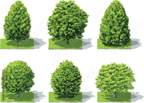 Top view flat vector set of garden plants and flowers isolated on transparent background