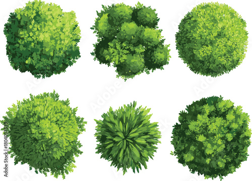 Design for a landscape architecture plan, map, or garden top view.