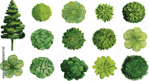 Set of top-view green plants, flowers, and trees vector illustration on a transparent background