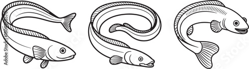 Set of Eel Fish Line Art, Coloring Book Page Line Art Drawing, Vector and Illustration