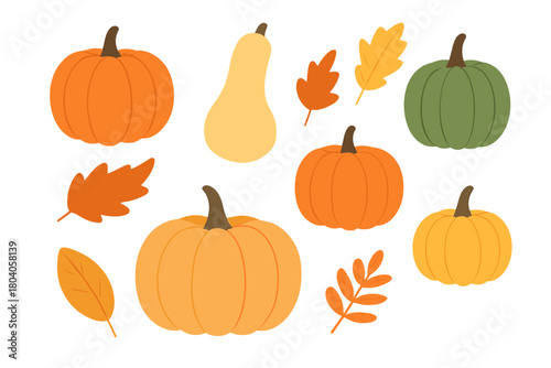 Colorful assortment of pumpkins and stylized autumn leaves for seasonal design