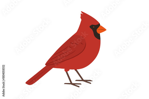 Profile view of bright red male northern cardinal bird with prominent crest