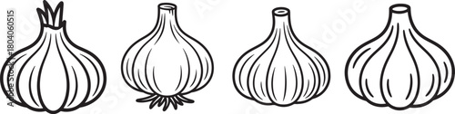 Set of Garlic Bulb Line Art, Coloring Book Page Line Art Drawing, Vector and Illustration