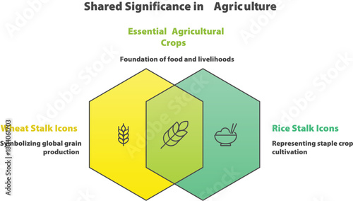 Shared Significance in Agriculture: a visual representation exploring the interrelation between essential agricultural crops and their impact on global food production and livelihoods.