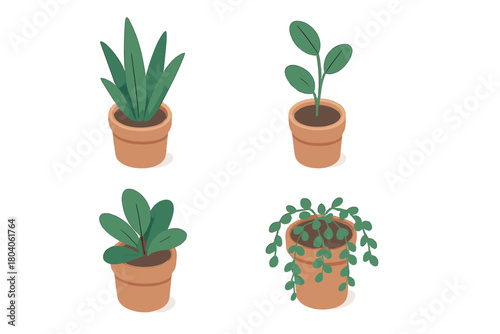 Isometric collection of four different potted houseplants in terracotta containers