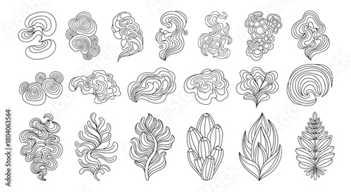 Abstract organic shapes and flowing lines create a mesmerizing visual experience.