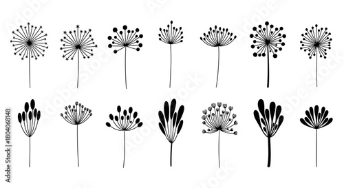 Collection of Hand-Drawn Dandelion and Abstract Floral Silhouettes.