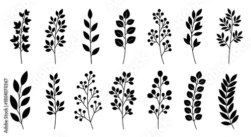 Collection of various black silhouette leaf branches and twigs, botanical elements for design.