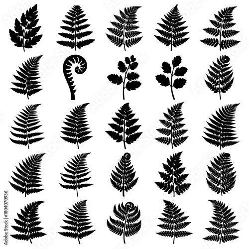 Collection of various fern leaf silhouettes, showcasing diverse botanical shapes and patterns.