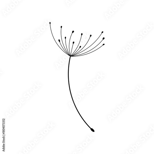 Dandelion fluff. Silhouette of dandelion fluff on a white background.