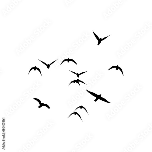 Silhouette of a flock of birds flying in the sky against a white background in a minimalist style art