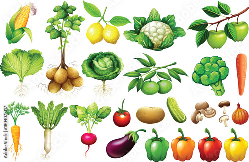 set of fruits and vegetables