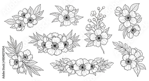 Elegant Hand-Drawn Floral Arrangements and Botanical Elements.