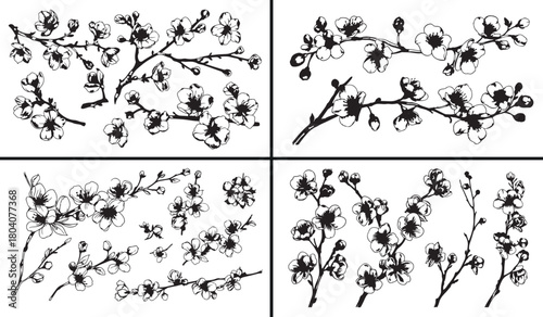 Floral branch illustration, botanical vector artwork, natural flower design, vintage floral drawing, elegant branch decor, hand drawn flower sketch, natural foliage artwork, floral garden clipart, sty