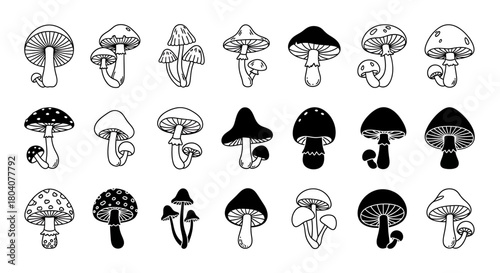 Hand-drawn mushroom collection in black and white, featuring various fungi types.