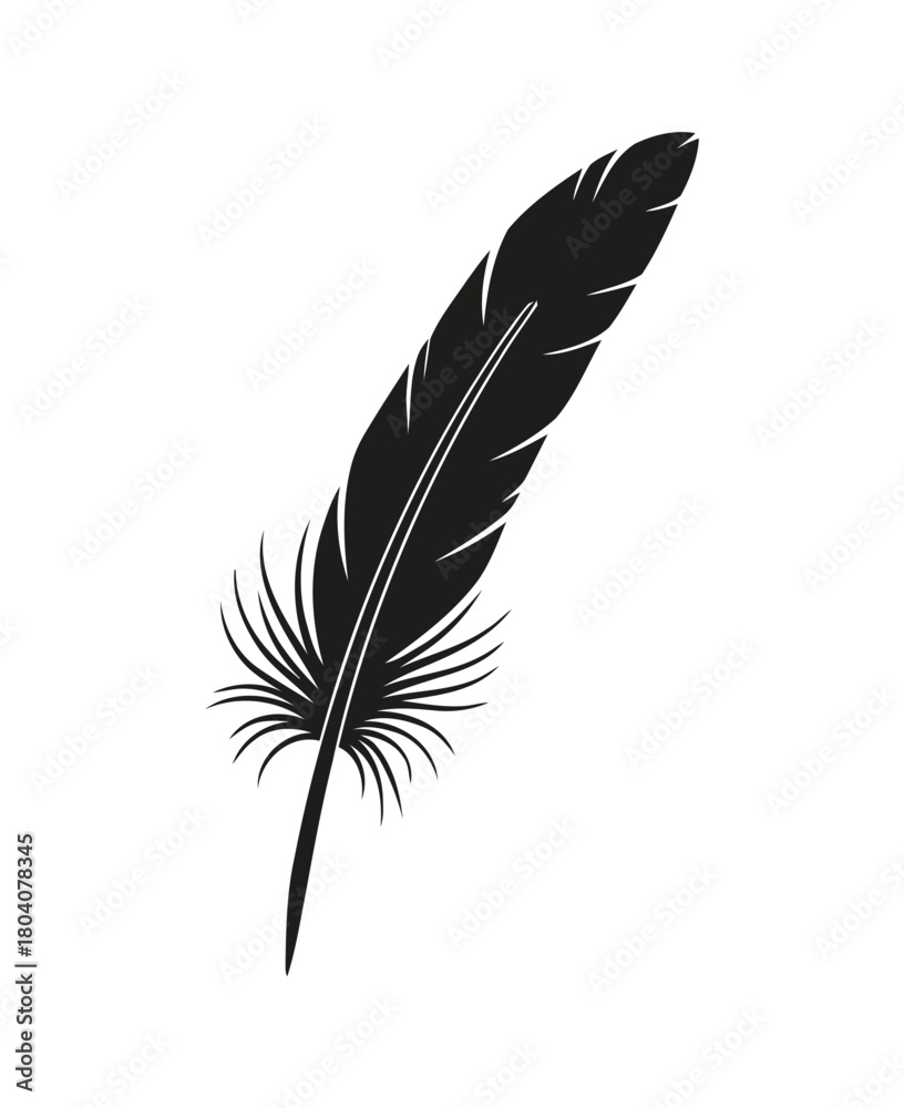 Obraz premium Vector set of fluffy bird feathers, a light illustration symbol for writing and art