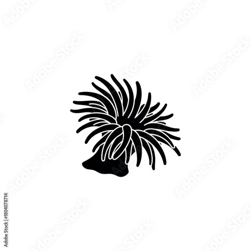Sea Anemone Icon Silhouette Vector