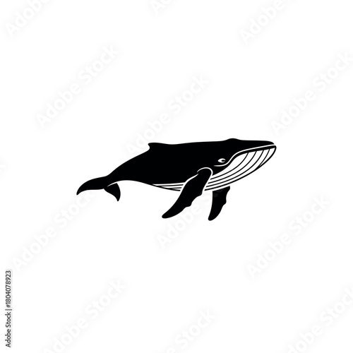 Humpback Whale Icon Silhouette