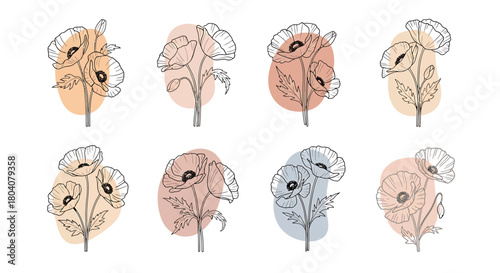 Set of eight delicate poppy illustrations with watercolor accents.