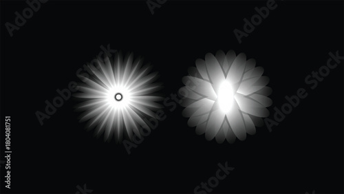 Abstract Starburst and Floral Light Forms
