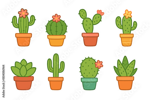 Adorable collection of potted desert cacti and flowering succulent house plants