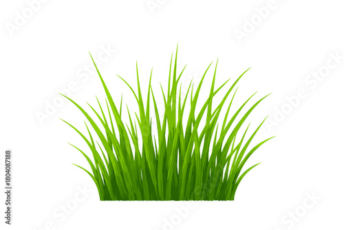 Lush green grass clump isolated on a pure white background for natural concepts