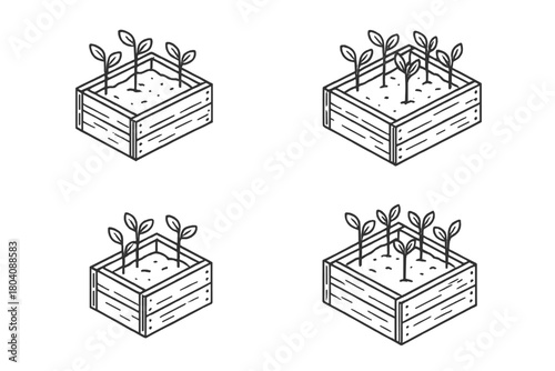 Isometric wooden box filled with soil and young plant sprouts ready for growth