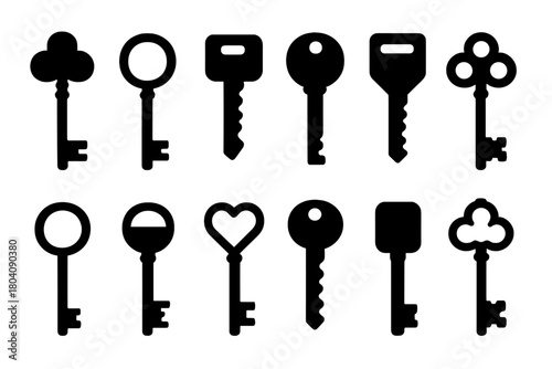 Collection of twelve different black silhouette keys representing various types for security and access