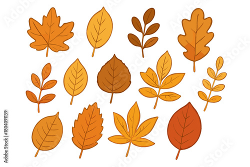 Colorful fall foliage assortment featuring various tree leaf shapes and branches