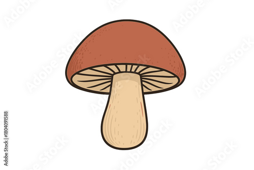 Edible forest fungus with a smooth brown cap and beige stalk ready for harvest