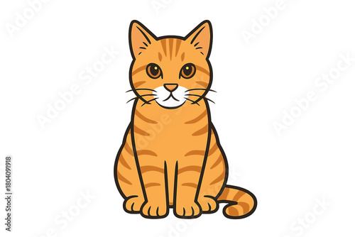 Adorable orange striped domestic cat sitting upright and looking directly at the viewer