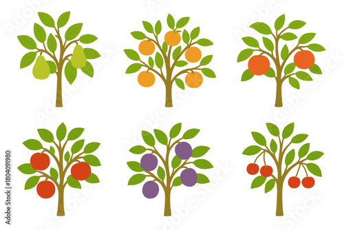 Set of six stylized fruit trees including pear, plum, orange, and cherry varieties