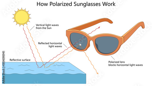 how polarized lenses block horizontal light waves to reduce glare from reflective surfaces like water or roads diagram hand drawn schematic vector. Science educational illustration