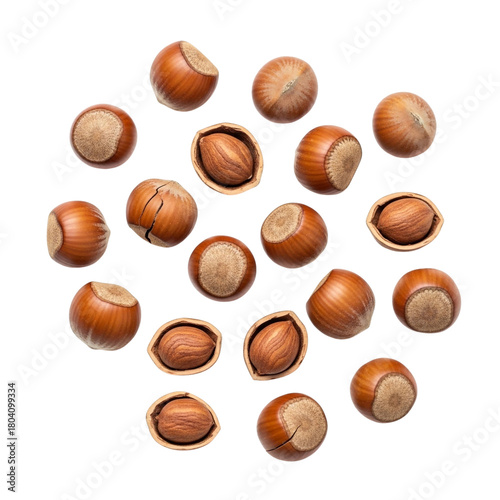Wallpaper Mural Organic Hazelnuts for Cooking Isolated on Clear Background
 Torontodigital.ca