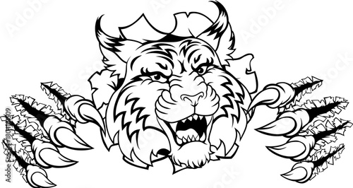 A wildcat or bobcat sports ...