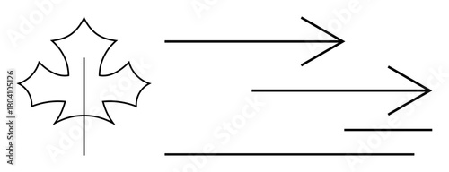 Maple leaf paired with bold, straight arrows symbolizing growth, movement, change, and direction. Ideal for progress, nature, sustainability, development environment guidance and speed concepts
