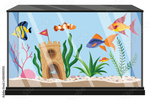 Aquarium with different colorful fish and algae. Underwater life with shells, sand, bubbles and decorative accessories in flat style. Beautiful vector glass aquarium as decoration of home interior