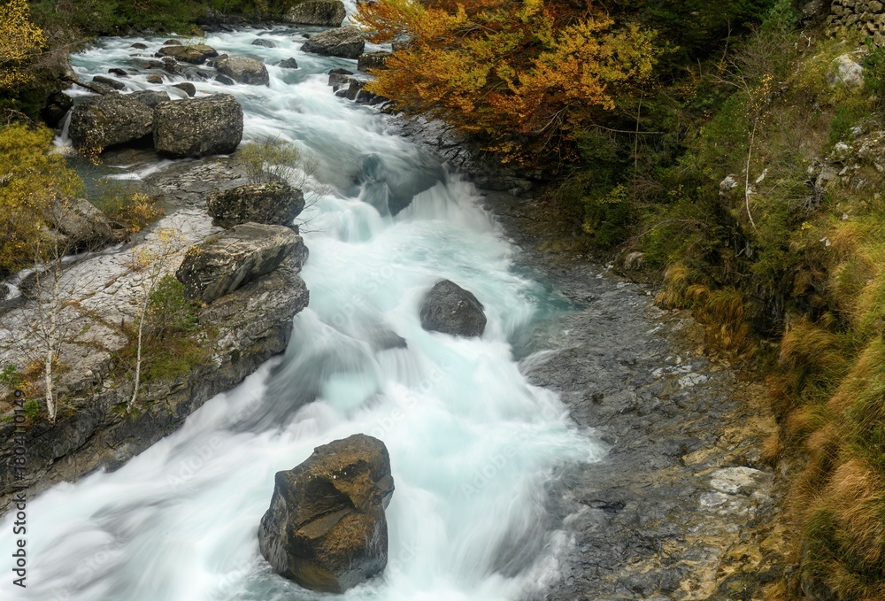 Fototapeta premium Ara River through the Bujariego Valley, in Ordesa. Spain