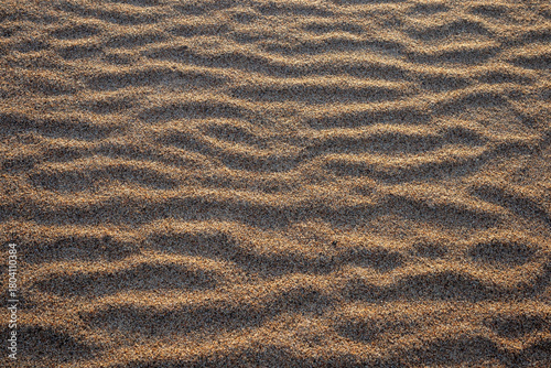 Wavy beach sand wind ripple pattern texture background