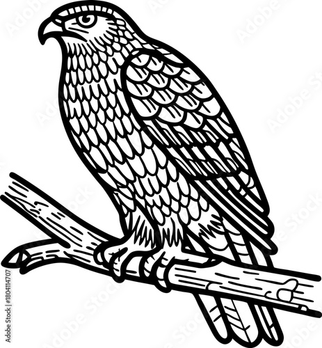 Eagle perched on branch detailed monochrome illustration of bird of prey with sharp beak and strong talons