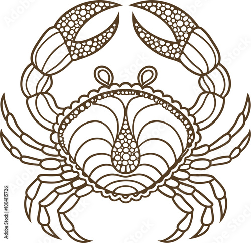 Crab outline illustration with symmetrical claws and shell, detailed marine animal line art design
