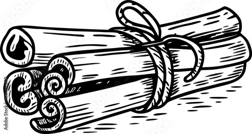 Hand drawn bundle of cinnamon sticks tied with string vintage spice illustration, aromatic culinary ingredient