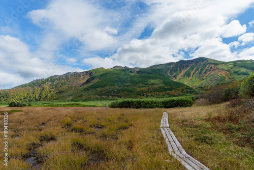 北海道・大雪山「沼の平」に広がる草紅葉と池塘群の秋の湿原風景（資料・教育用途）