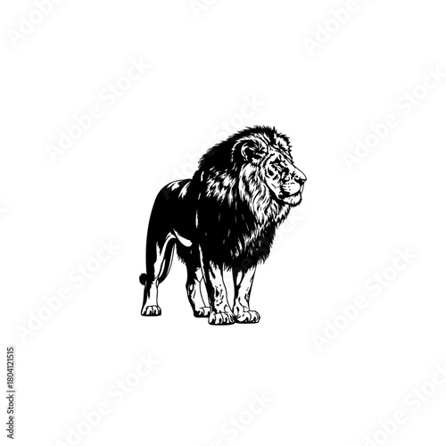 A black and white illustration of a lion standing with a full mane looking to the right side view image