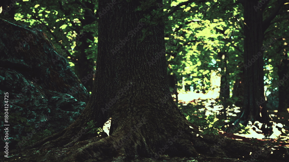 Fototapeta premium Tall trees provide a canopy in a peaceful forest, with sunlight streaming through leaves. Shadows dance on the forest floor, creating a calming atmosphere for nature lovers.